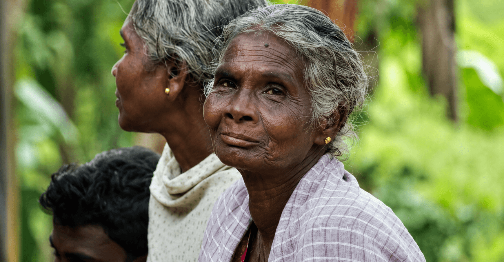 Kerala Forest Development Corporation (KFDC)